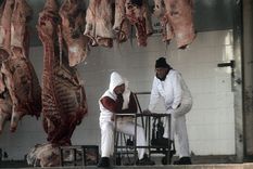 Foto: Pachy Reynoso/MDZ