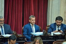 El diputado Mariano Campero en el recinto de la Cámara de Diputados. Foto: X