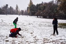 el gran mendoza se vistio de blanco: postales de la nevada