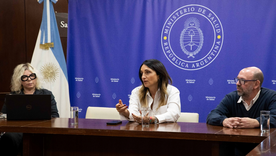 Renunció la viceministra de Salud de Javier Milei. 