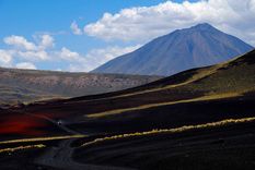 La Payunia forma parte de esta ruta.&nbsp; &nbsp;