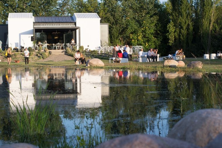 Atardeceres mágicos entre viñedos. Foto: Foto: cortesía Bodega Finca del Nunca Jamás