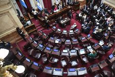 Si el Senado consigue quórum hoy, intentará avanzar con la Ley de Emergencia en Discapacidad en Comisiones.