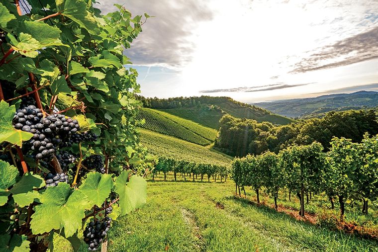 ¡A probar otras cosas!