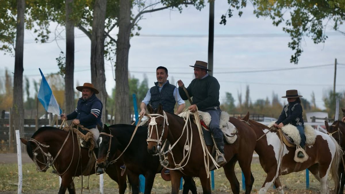 Ganadería en alza: retención de vientres y feedlots completos impulsan el mejor momento del sector