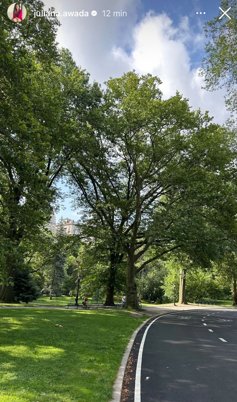 El Central Park en verano, retratado por Awada. Foto: Instagram Juliana Awada. El Central Park en verano, retratado por Awada. Foto: Instagram Juliana Awada.