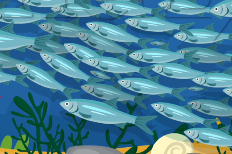 ACERTIJO VISUAL ACERTIJO VISUAL, RETO VISUAL, PEZ Foto: MDZ ONLINE