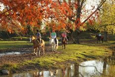 Este destino es uno de los representantes del turismo rural Foto: Agencia comBA