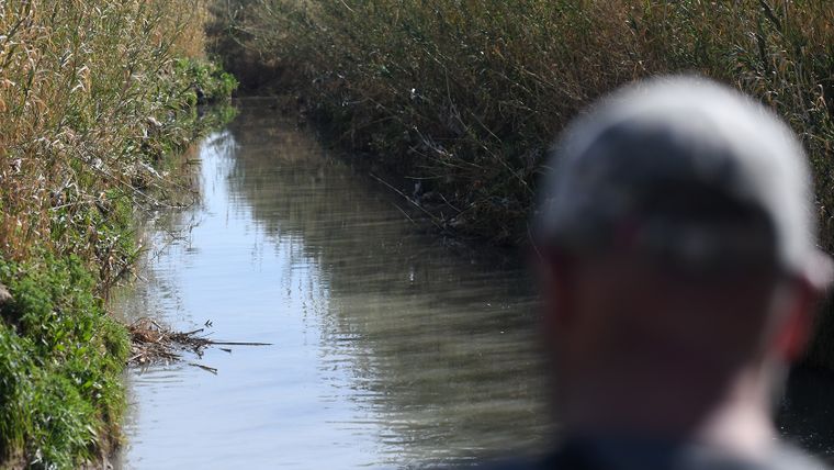 pescara contaminacion 7