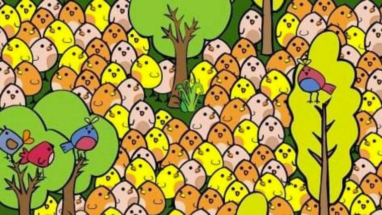 Acertijo visual, reto visual, huevo Pinterest Foto: Archivo MDZ