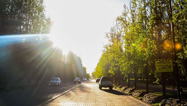 La Ciudad de Mendoza fue reconocida con el premio a la Iniciativa e Innovación a las Ciudades Verdes de la Organización de Comida y Agricultura de las Naciones Unidas Foto: Santiago Tagua/MDZ