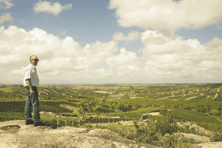 El empresario argentino que trasciende fronteras con el vino. Gentileza.