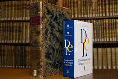 la rae eligio la palabra del ano y le agrego un nuevo significado
