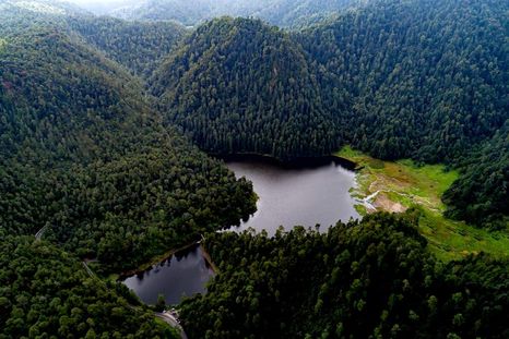 En el estado de México se encuentran estas 7 lagunas con agua de tonalidades verdes y azules Foto: Shutterstock