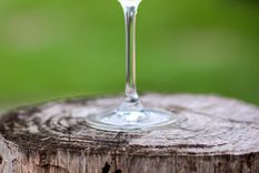 Día del Chardonnay: diez elegidos para disfrutar