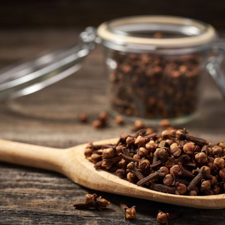 Conoce son los beneficios del clavo de olor Foto: Shutterstock