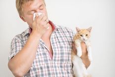 La alergia a los animales es muy común.