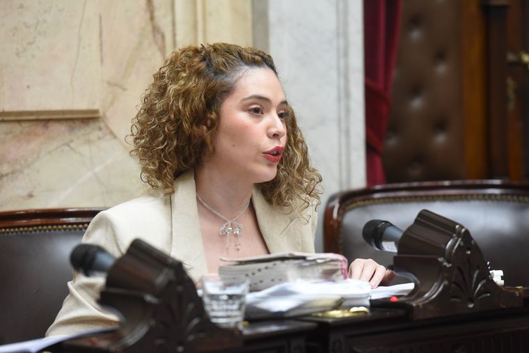 La diputada mendocina Lourdes Arrieta habló durante el debate por la baja de edad de imputabilidad y adelantó su voto a favor de la medida.