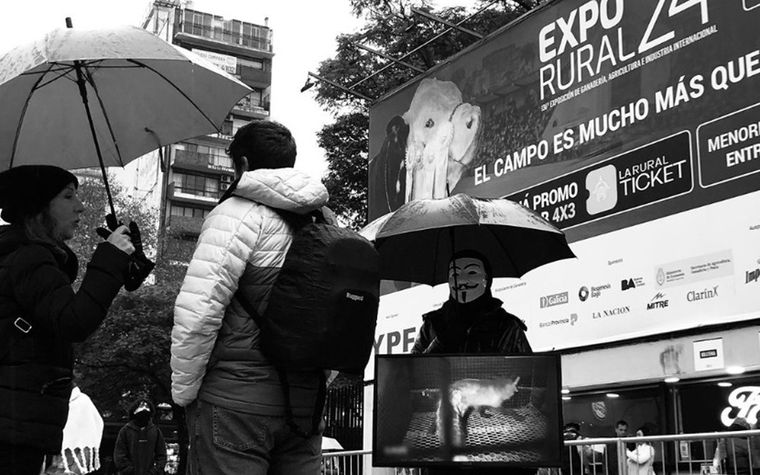 Veganos antiespecistas se manifiestan en La Rural. La performance de Anonymous for the Voiceless Argentina. Foto: Anonymous for the Voiceless