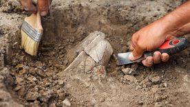 Un descubrimiento arqueológico en Sudán aportó la primera prueba directa sobre la existencia del rey Qasqash. Un descubrimiento arqueológico en Sudán aportó la primera prueba directa sobre la existencia del rey Qasqash.