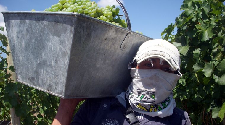Foto: Ulises Naranjo.