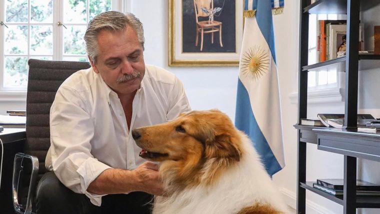 Alberto Fernández junto a su perro Dylan Alberto Fernández junto a su perro Dylan