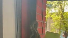 La serpiente en pleno centro de Mendoza La serpiente en pleno centro de Mendoza