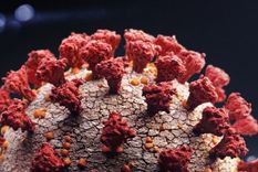 La pandemia del coronavirus ha causado millones de muertes a nivel mundial. Foto: BBC