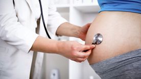 Obstetras irán a la Legislatura a reclamar este martes por los partos. Obstetras irán a la Legislatura a reclamar este martes por los partos.