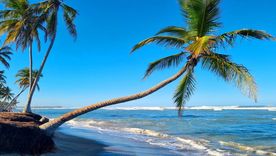 Punta Cana. Punta Cana.