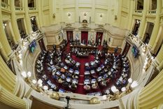 El Senado sesionará por segundo día consecutivo, esta vez para tratar el régimen penal juvenil y la reforma laboral.