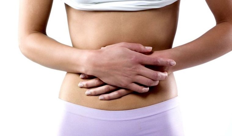 Los parásitos consumen energía y nutrientes. Foto: Archivo