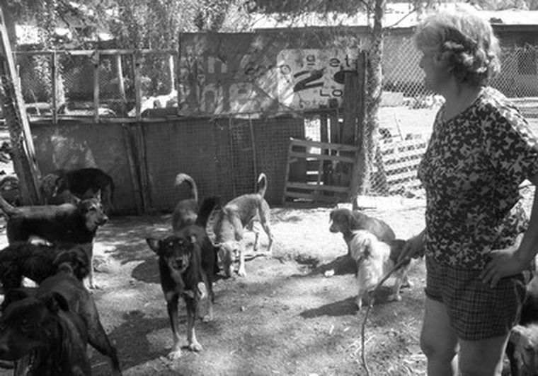 Hasta viene en camionetas a dejarme perros, se lamenta Hilda.