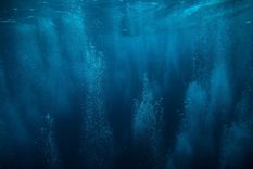 El descubrimiento surgió luego de una expedición en 2023. Foto: Shuttestock