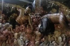 indignante: a dias de las muertes, un hombre se filma nadando en achuras