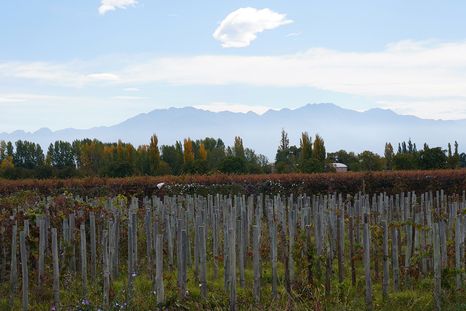 El lunes tendrá cielo parcialmente nublado y temperaturas más frescas en Mendoza. El lunes tendrá cielo parcialmente nublado y temperaturas más frescas en Mendoza.