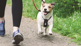 El mejor horario para pasear en verano es antes de las 10 o después de las 19. Foto: Archivo El mejor horario para pasear en verano es antes de las 10 o después de las 19. Foto: Archivo