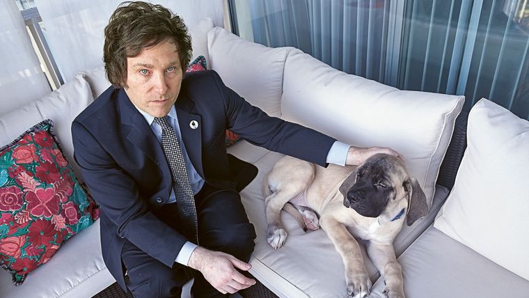 Milei junto a uno de sus mastines ingleses