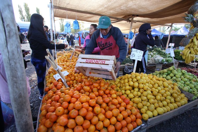 El precios de las frutas y verduras se ha disparado Foto: Maximiliano Ríos/MDZ