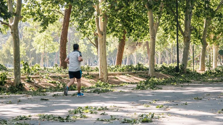 Ingresa un frente frío y continuarán los vientos, pero ahora del sur. Foto: Santiago Tagua/MDZ
