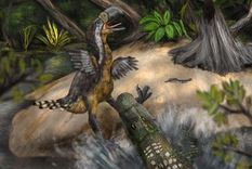 Los investigadores señalan que el ave del terror no sobrevivió el ataque de otro depredador.