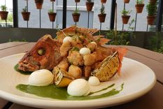 chefs crean en mexico una entidad solidaria en torno al pescado chefs crean en mexico una entidad solidaria en torno al pescado