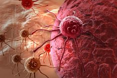 biologos de eeuu hallan boton de apagado del cancer