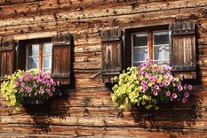 Para el riego en maceta hay que tener en cuenta el tamaño de la misma: cuanto más pequeña es la maceta más rápido se seca. Foto: Pixabay - pixabay.com