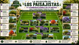Como un equipo de fútbol del Mundial, estas 11 combinaciones de plantas ocupan distintas posiciones en el jardín y demuestran cómo árboles, gramíneas y aromáticas pueden funcionar en conjunto durante las cuatro estaciones. &nbsp;