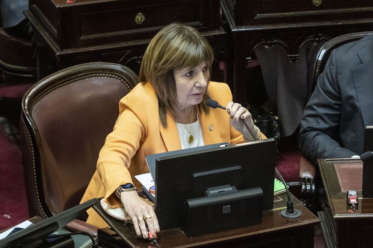 Patricia Bullrich, jefa del bloque LLA en el Senado. Patricia Bullrich, jefa del bloque LLA en el Senado.