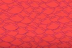 ACERTIJO VISUAL ACERTIJO VISUAL, RETO VISUAL, VEGETAL Foto: ARCHIVO