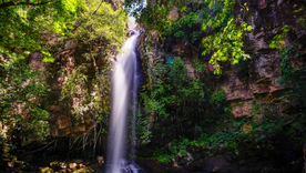 Estos son los mágicos destinos de Costa Rica que debes visitar Foto: Pixabay