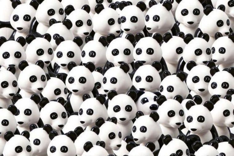 Reto visual, acertijo visual, desafío visual