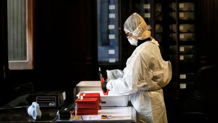 Así digitalizan documentos nazis. Así digitalizan documentos nazis.